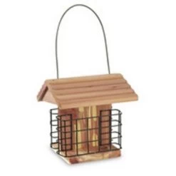 Classic Cedar Suet Station Wild Bird Feeder