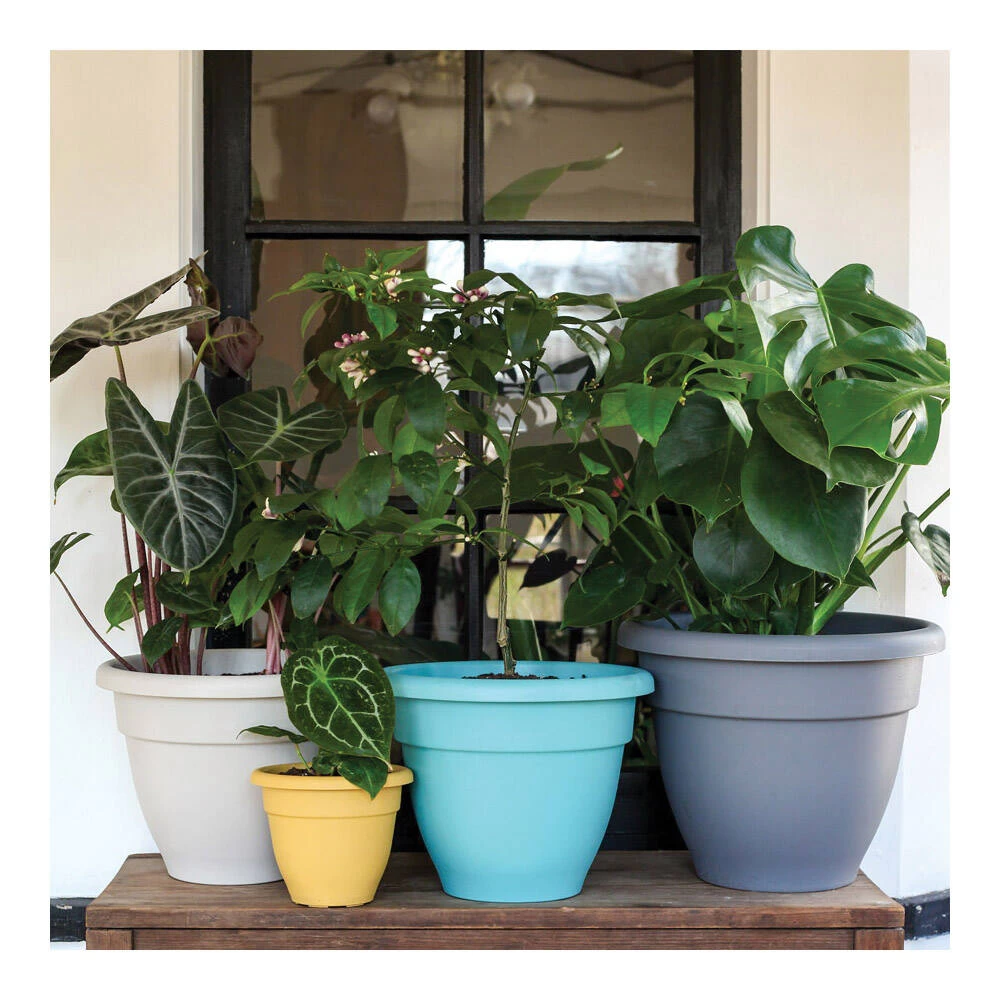 8-Inch Caribbean Planter In White