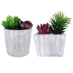 Alpine Cement Animal Pot With Succulent, Assortment Of 2