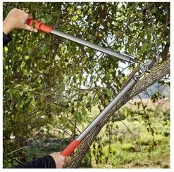 Corona 31-Inch ClassicCUT Bypass Lopper