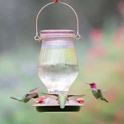 24-Ounce Rose Gold Top-Fill Glass Hummingbird Feeder