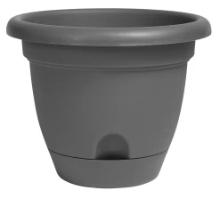 6-Inch Lucca Charcoal Self-Watering Plastic Planter