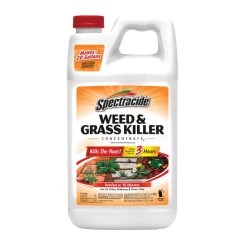 64-Oz Weed And Grass Killer