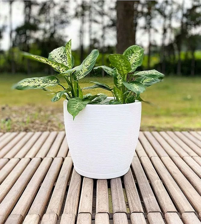 12.6-Inch White Resin Amsterdan Planter
