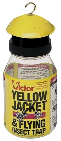 VICTOR Poison Free Yellow Jacket And Flying Insect Trap