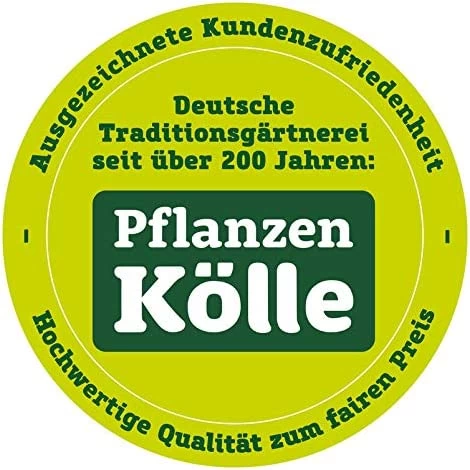 ESSCHERT DESIGN Greenhouse Resin Birdhouse - Image 2