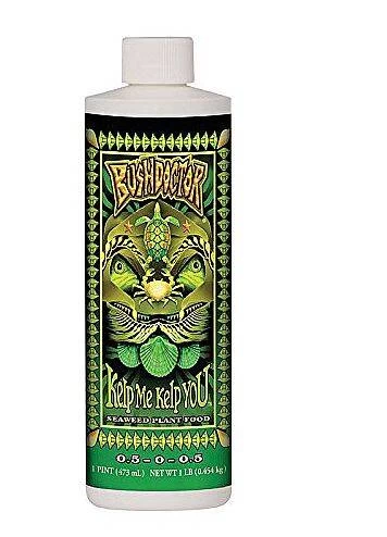 1-Pint Bush Doctor® Kelp Me Kelp You®