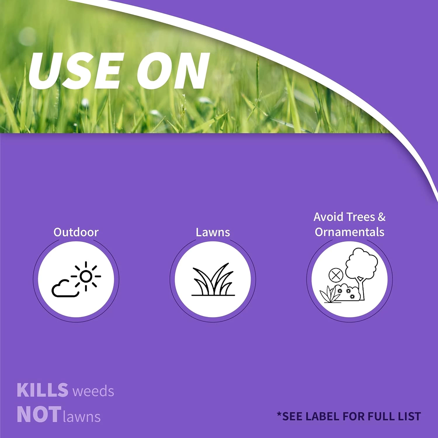 1-Pint Chickweed Clover And Oxalis Weed Killer Liquid - Image 5