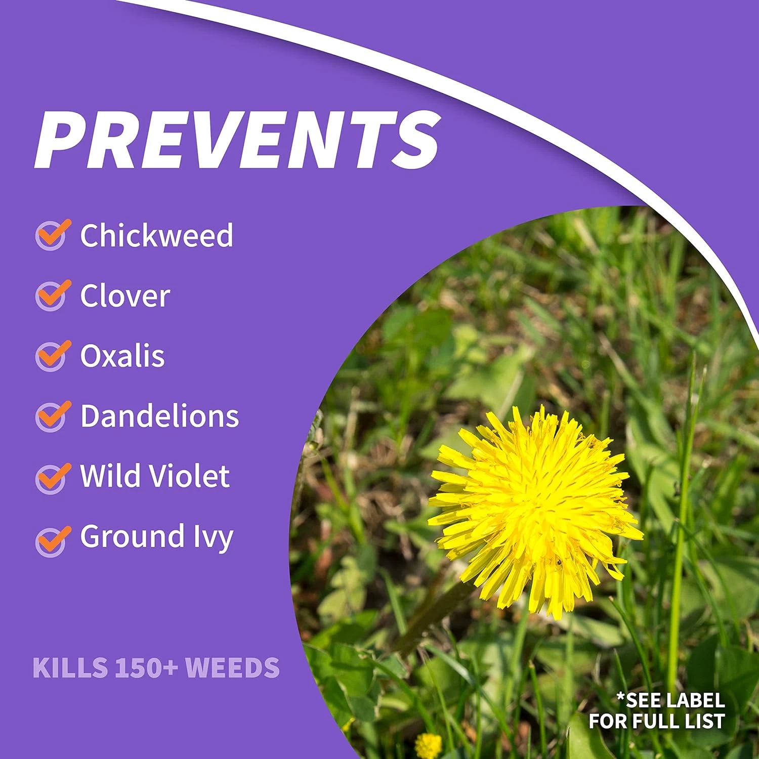 1-Pint Chickweed Clover And Oxalis Weed Killer Liquid - Image 6