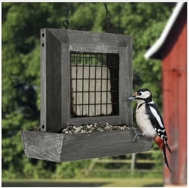 Suet Feeder With Wood Window Feeder