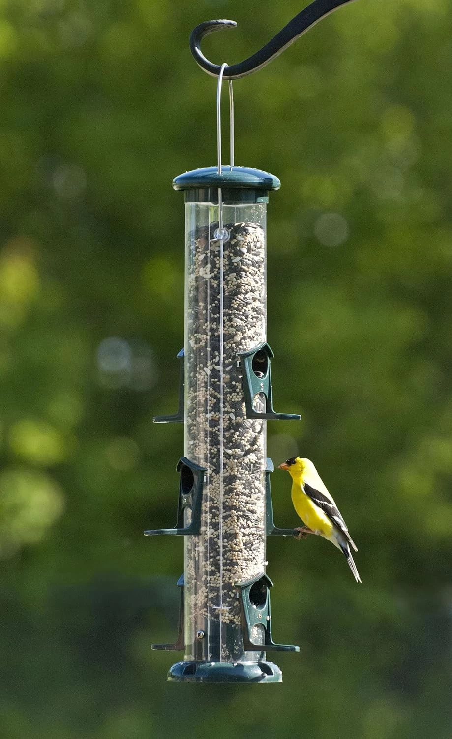 Audubon Green Plastic 6-Port Tube Bird Feeder - Image 3