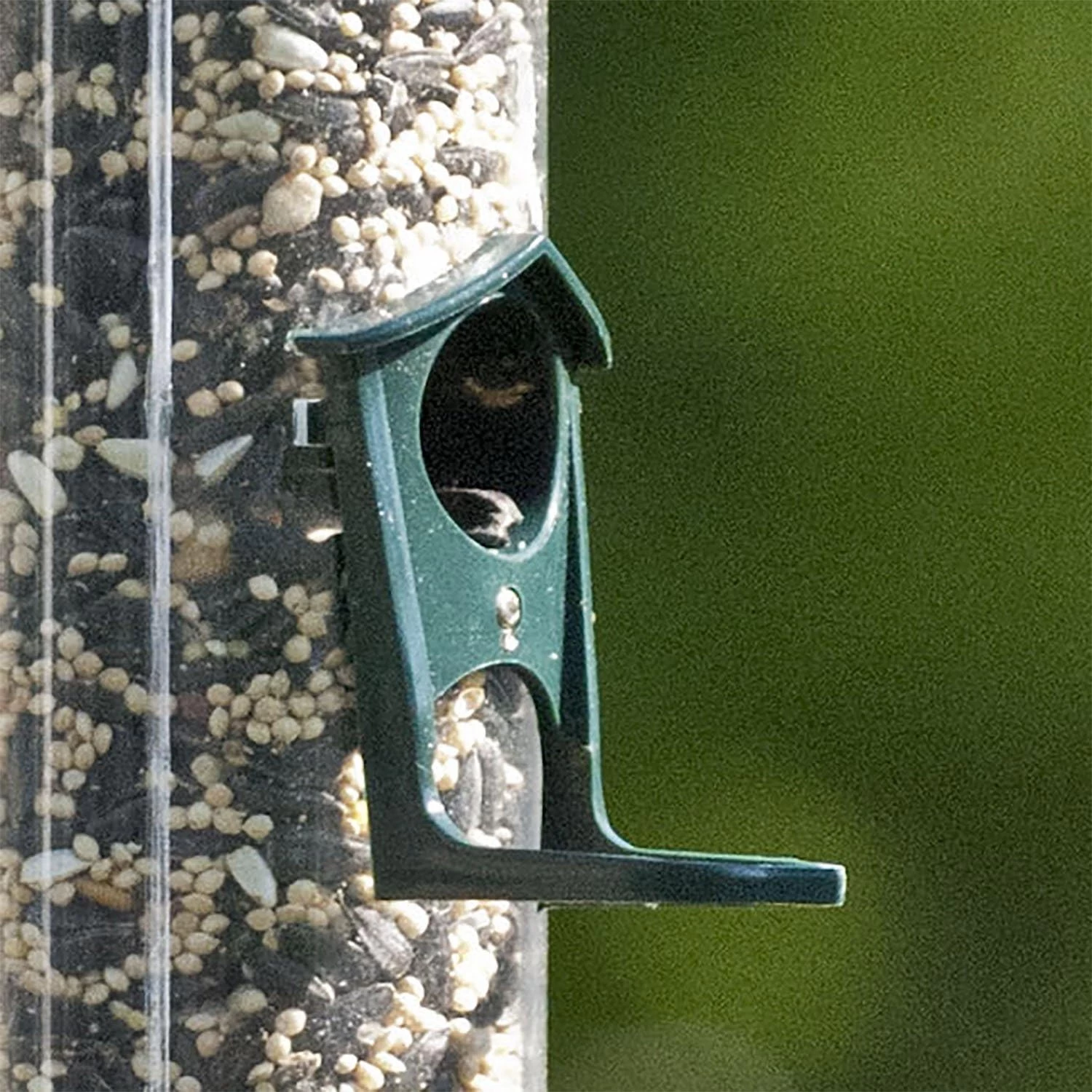 Audubon Green Plastic 6-Port Tube Bird Feeder