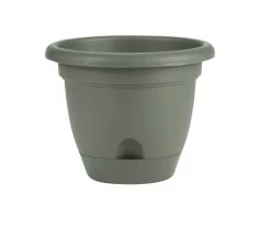 8-Inch Living Green Lucca Planter