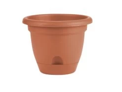 12-Inch Terra Cotta Lucca Planter