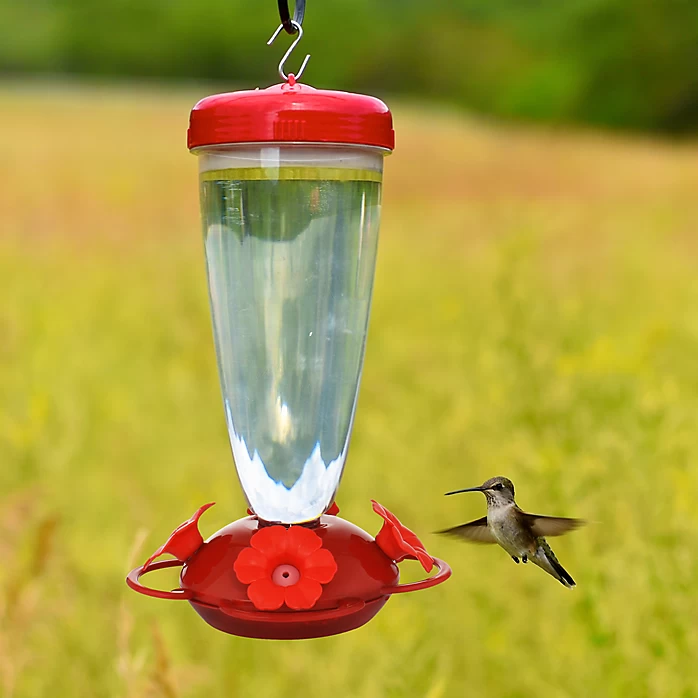 Top Fill Hummingbird Feeder, 24-Ounce Nectar Capacity