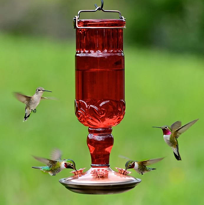 24-Ounce Red Antique Bottle Hummingbird Feeder
