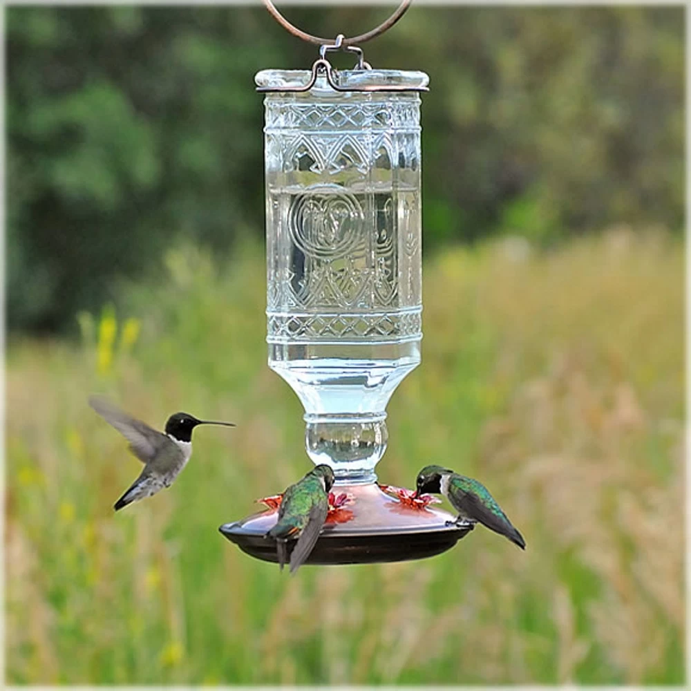 Clear Antique Bottle Glass Hummingbird Feeder
