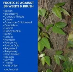 1-Gallon Ready To Use Brush Killer Plus