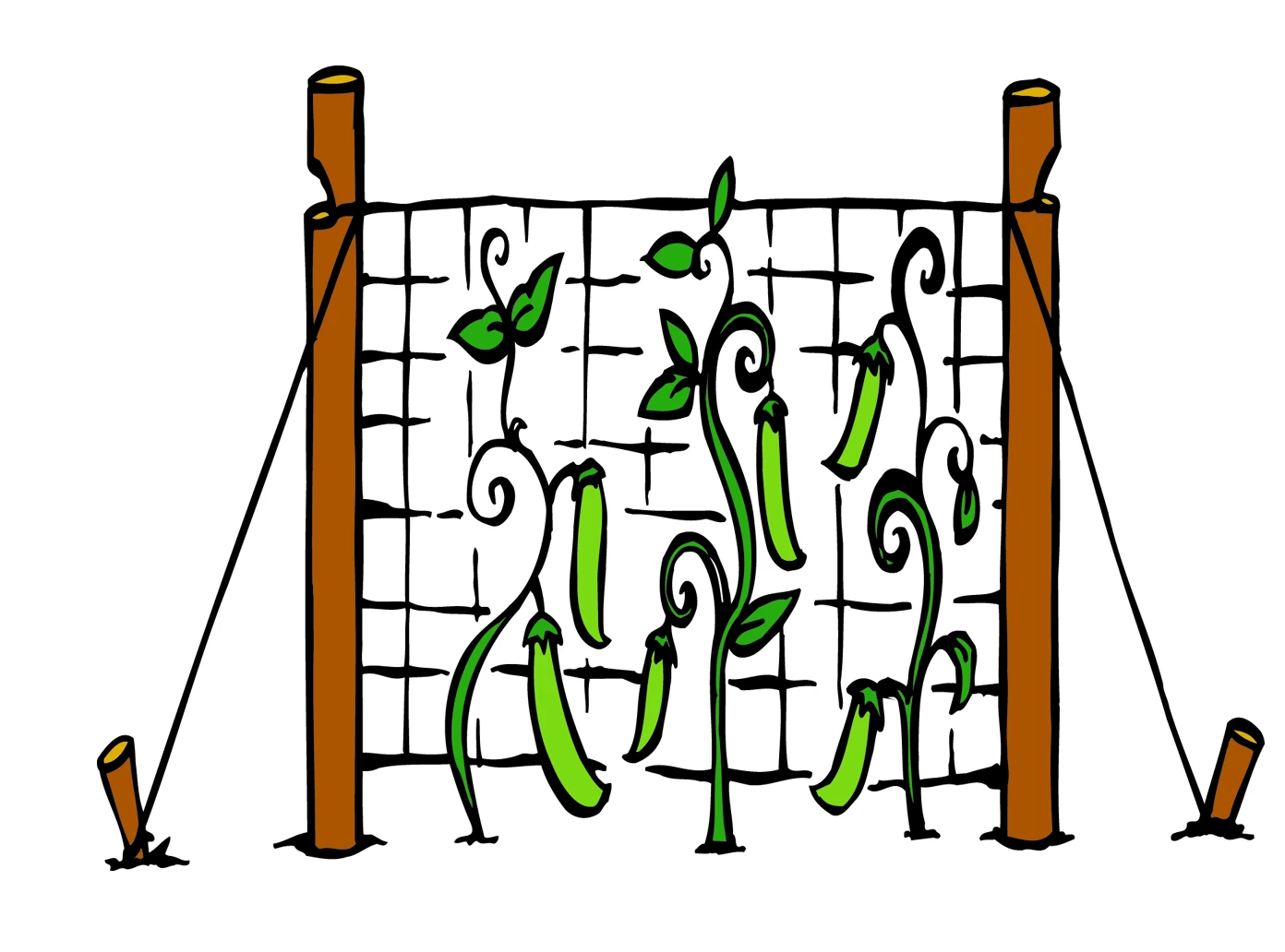 Trellis Netting Clear 6.5 Ft X12 Ft