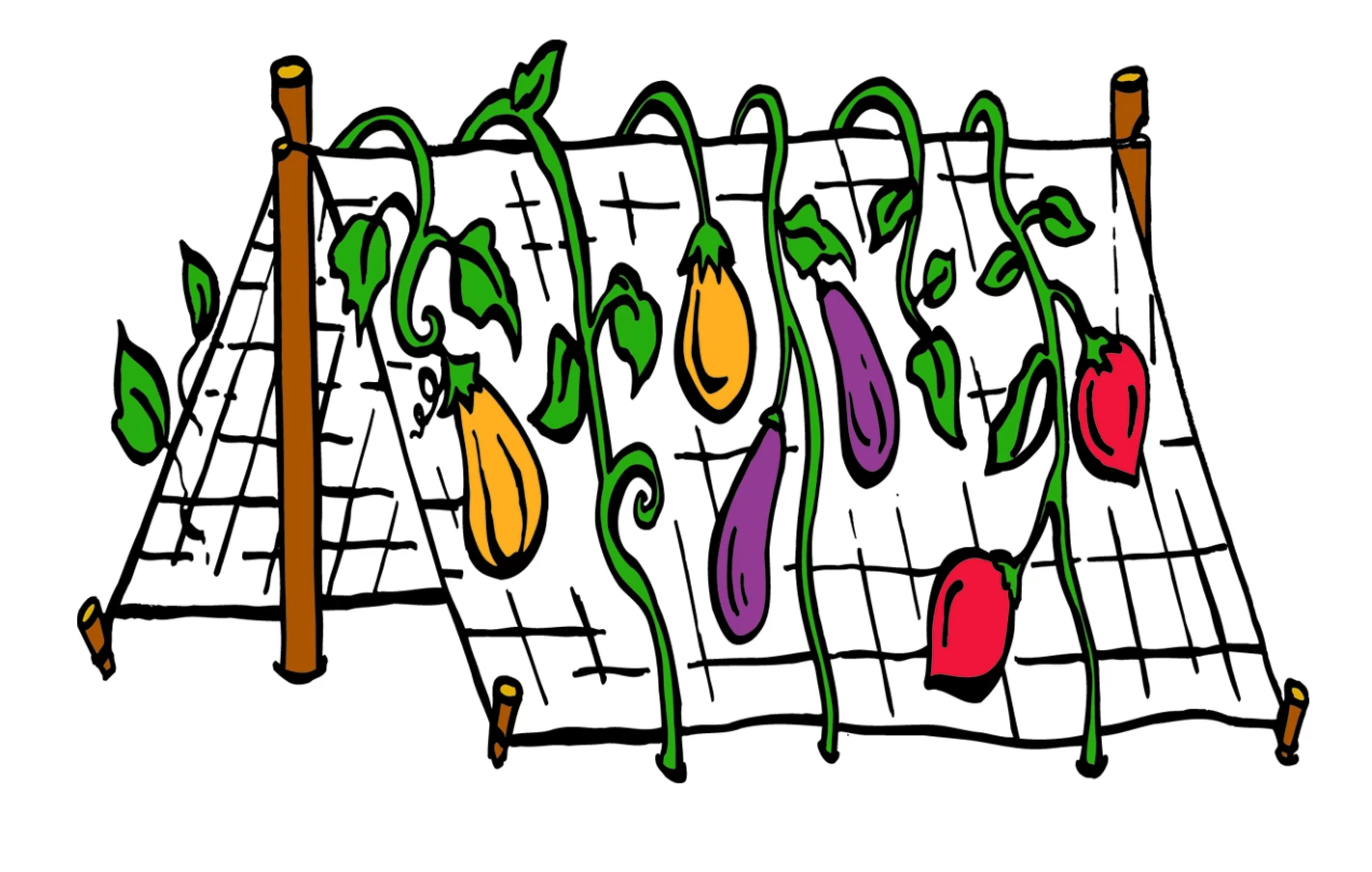 Trellis Netting Clear 6.5 Ft X12 Ft - Image 2