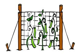 Trellis Netting Clear 6.5 Ft X20 Ft