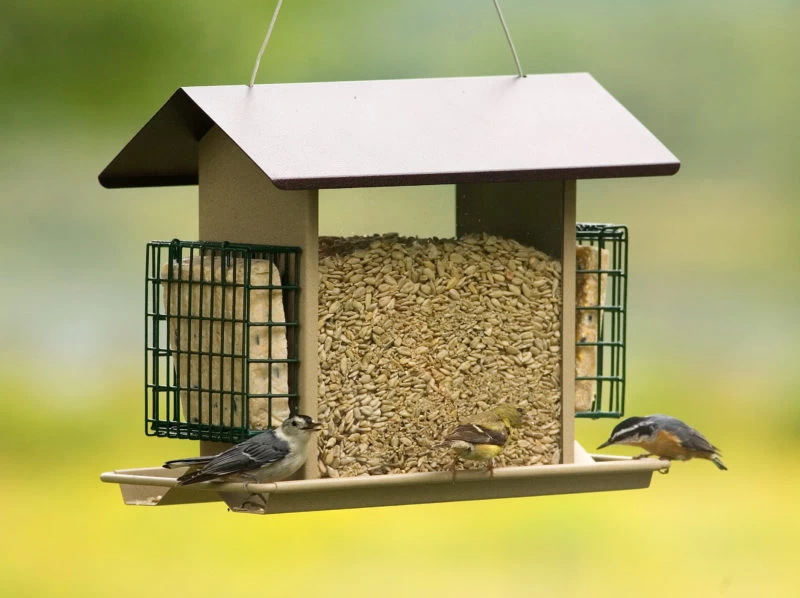 Large Hopper Bird Feeder With Suet Holders