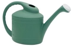 2-Gallon Fern Dynamic Design Watering Can