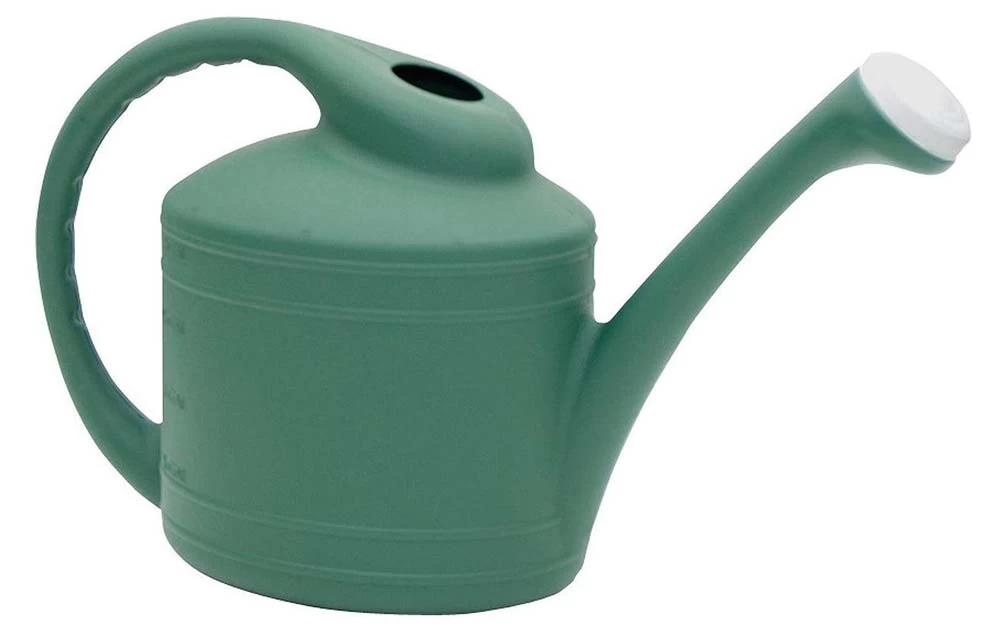 2-Gallon Fern Dynamic Design Watering Can