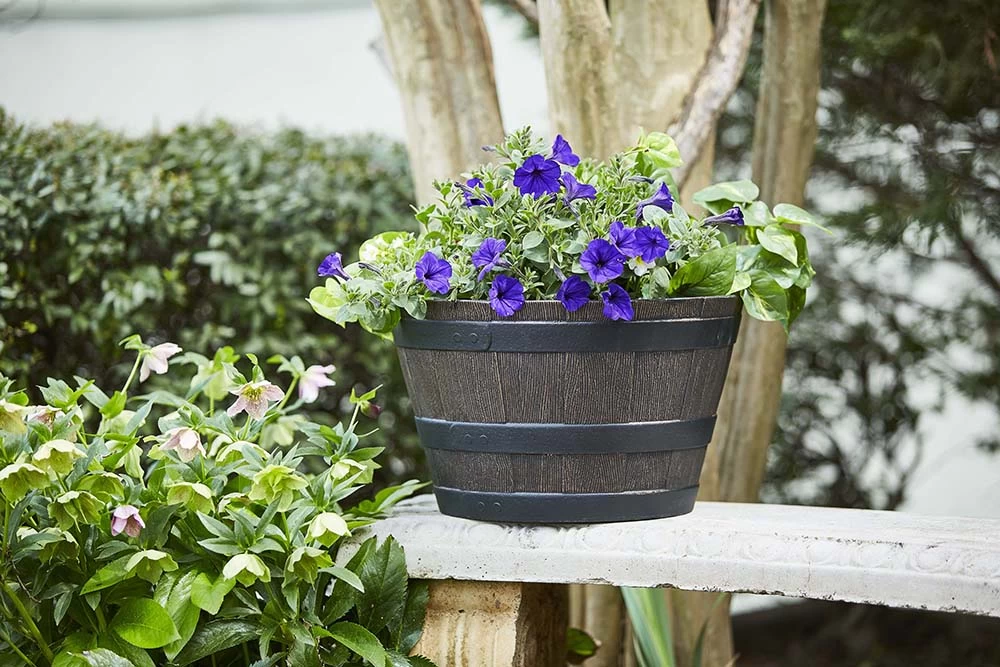 22-1/4-Inch Kentucky Walnut Whiskey Barrel Planter