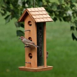 2-Pound Tin Jay Wood Feeder