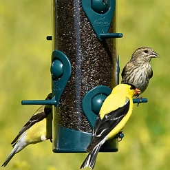 1.8-Pound Wild Bird And Finch Seed Feeder